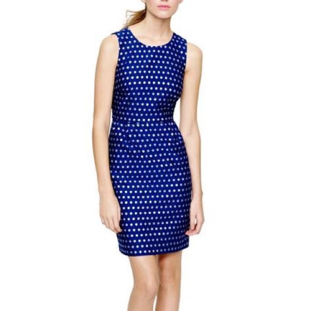 J. Crew Sparkle Polka Dot Dress Size 2